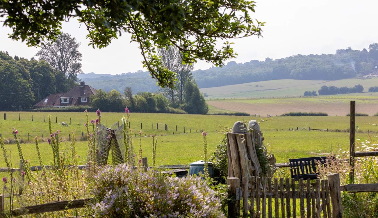 Another part of the garden where you can sit and watch the world go by.