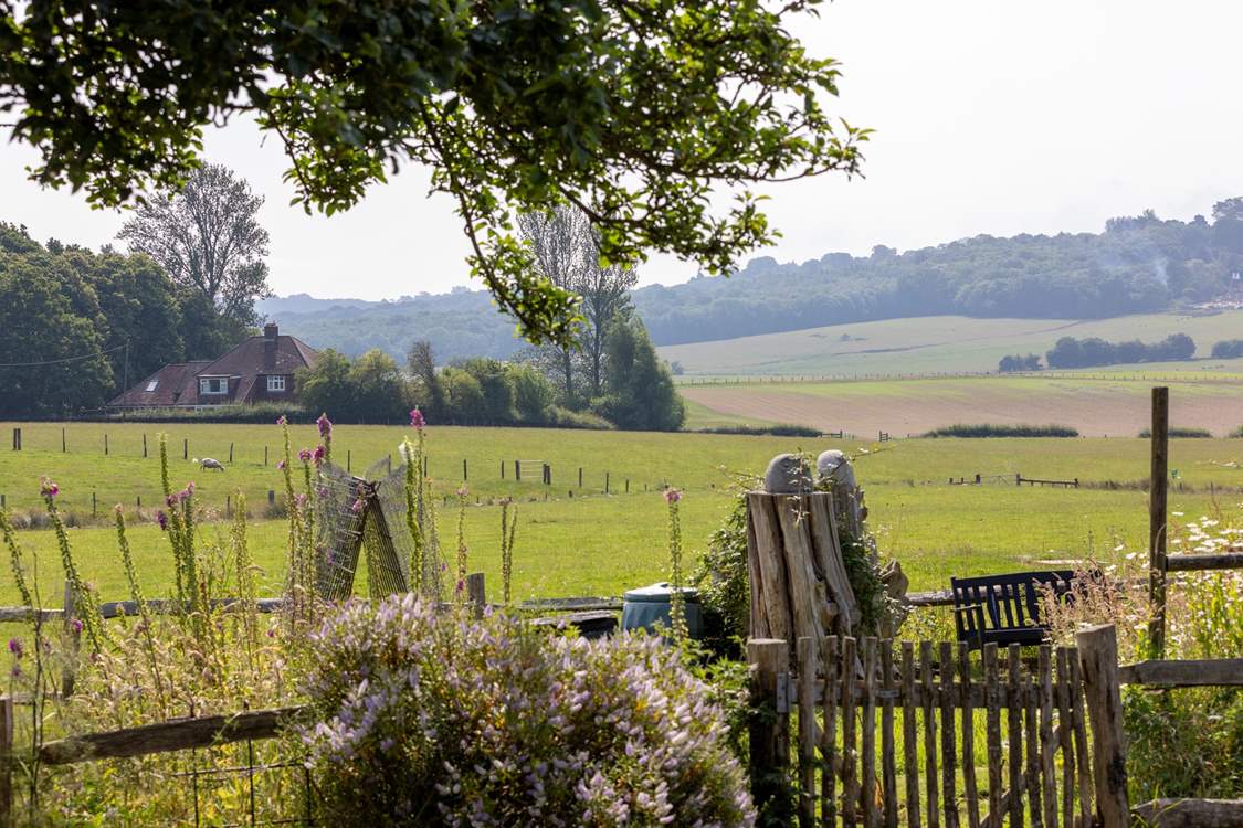 Another part of the garden where you can sit and watch the world go by.
