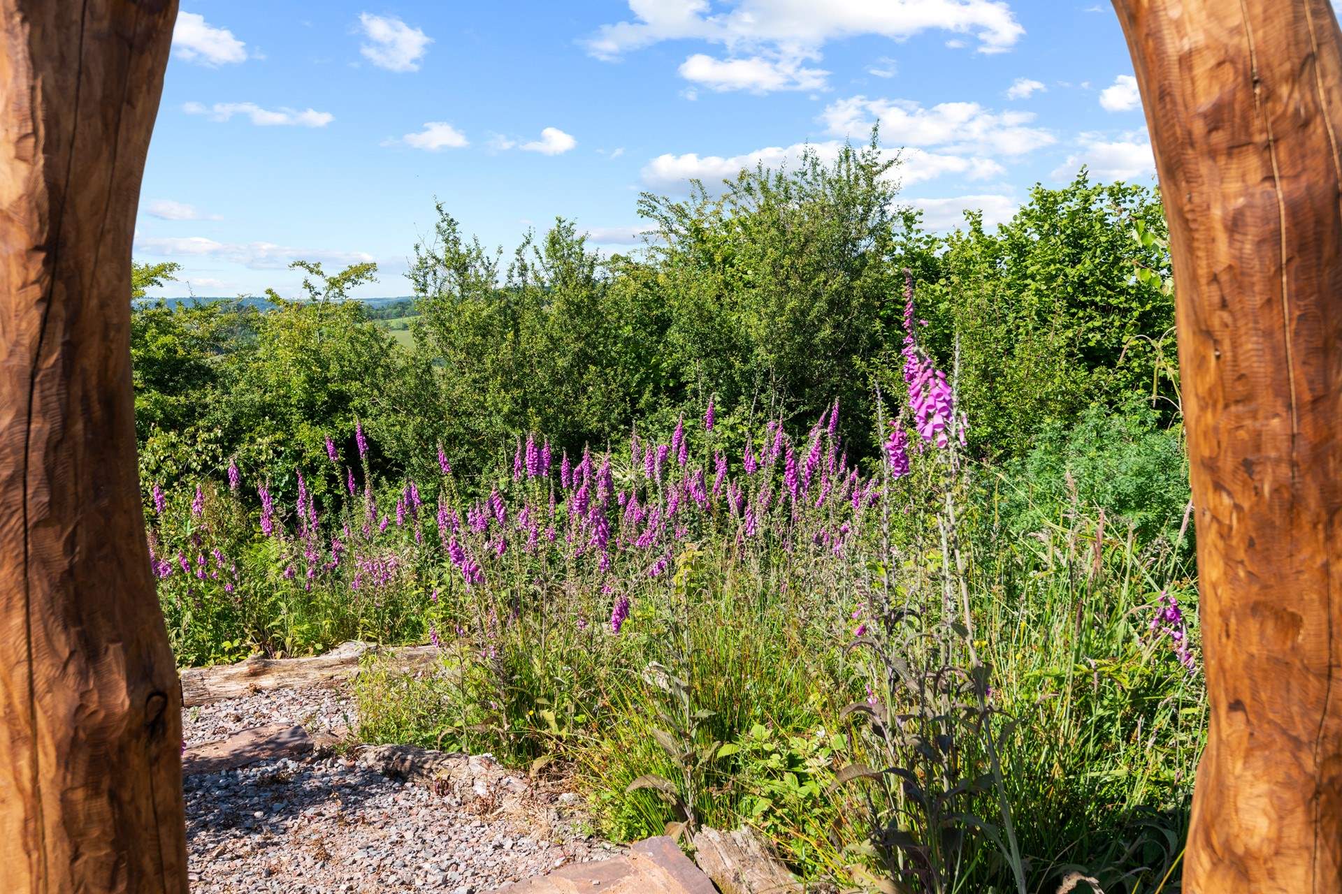 So much colour bursting out in this special garden.