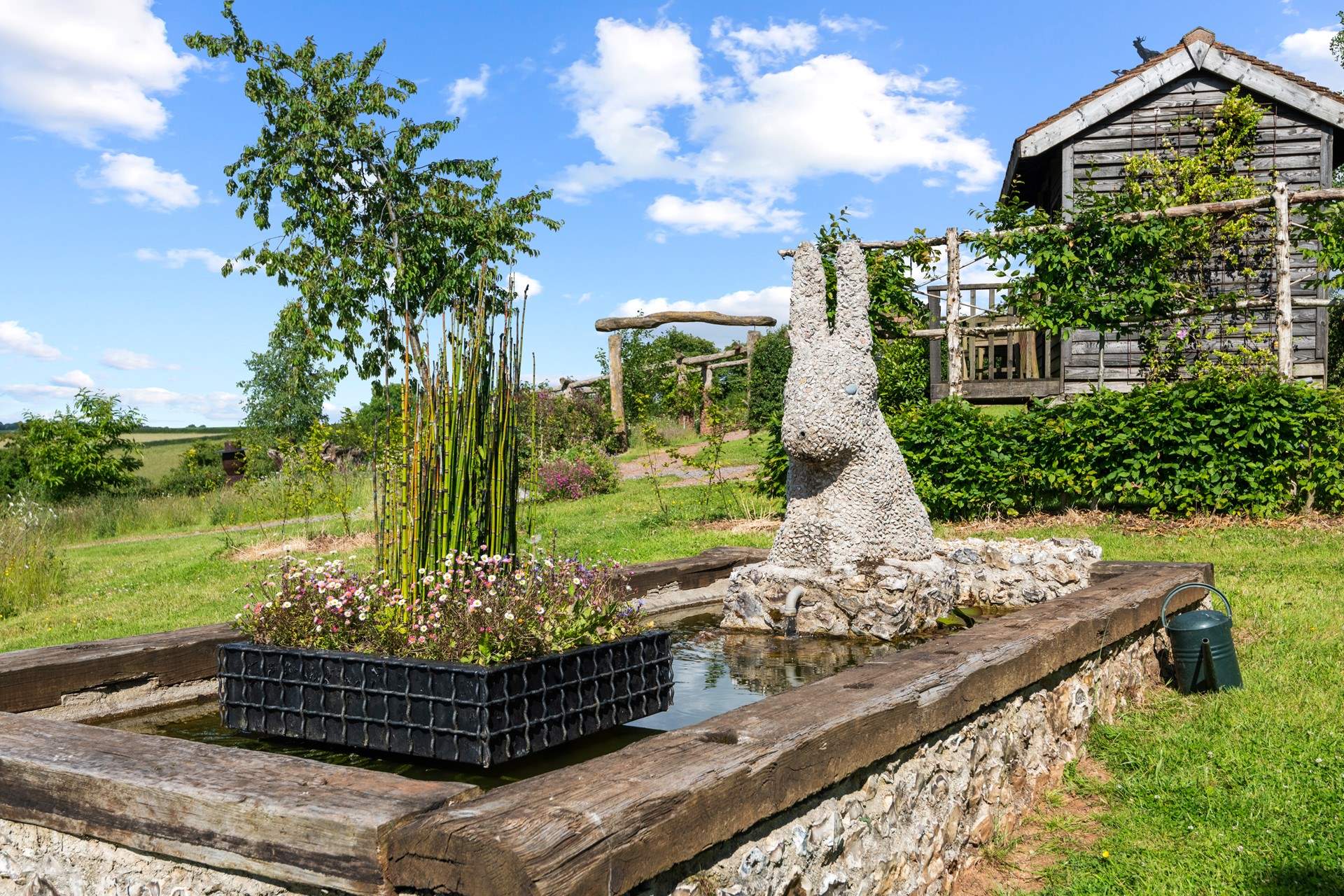 This beautiful pond is teeming with life.