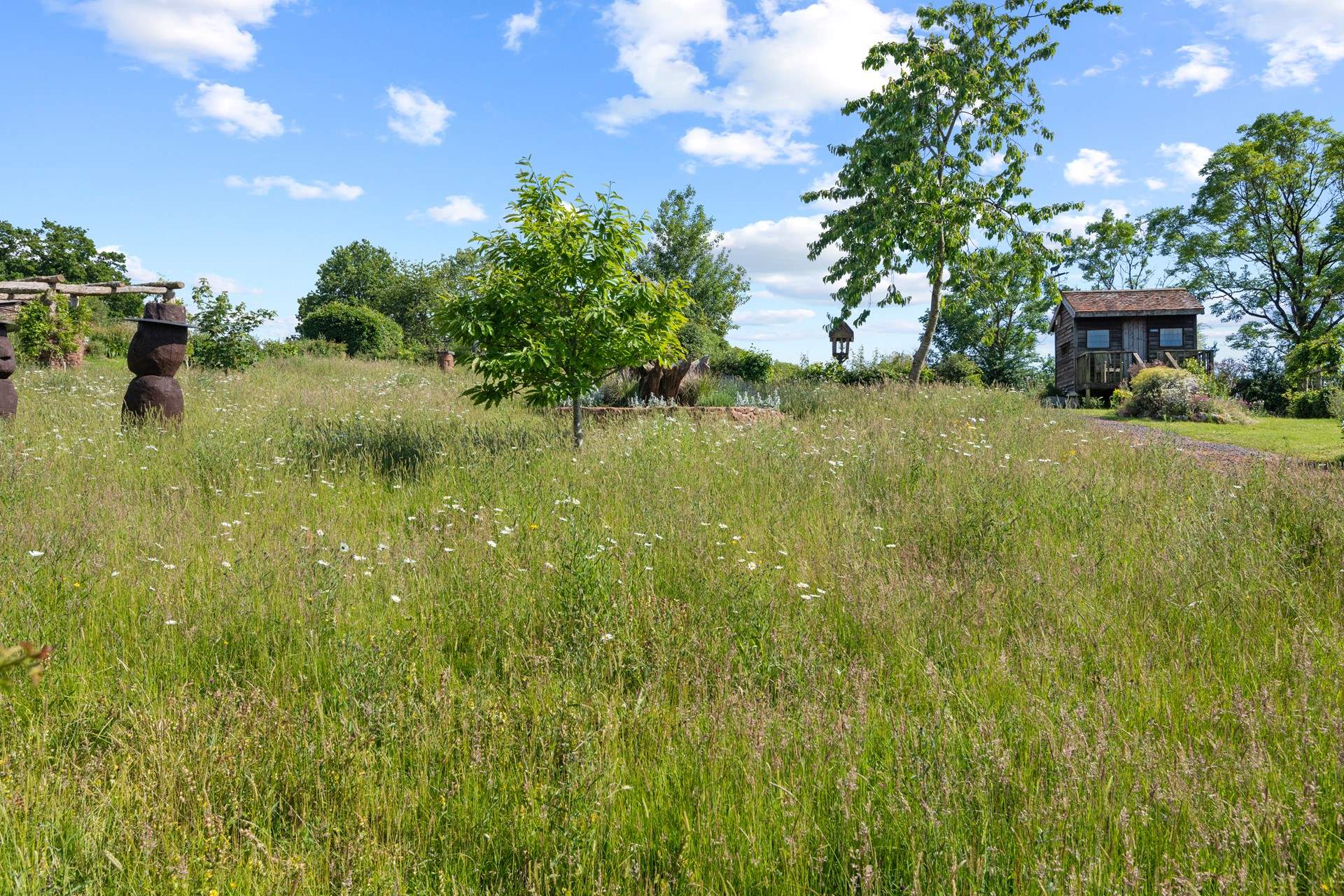 The wildflowers and long grassy areas make this a heaven on earth for the local wildlife and insect community.