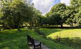 A lovely green space to sit and contemplate. - Thumbnail Image