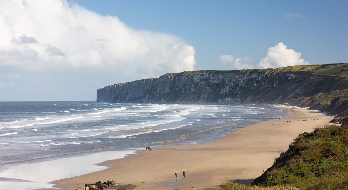 The cliffs toward Bempton where there is a RSPB site. Watch out for Puffins.