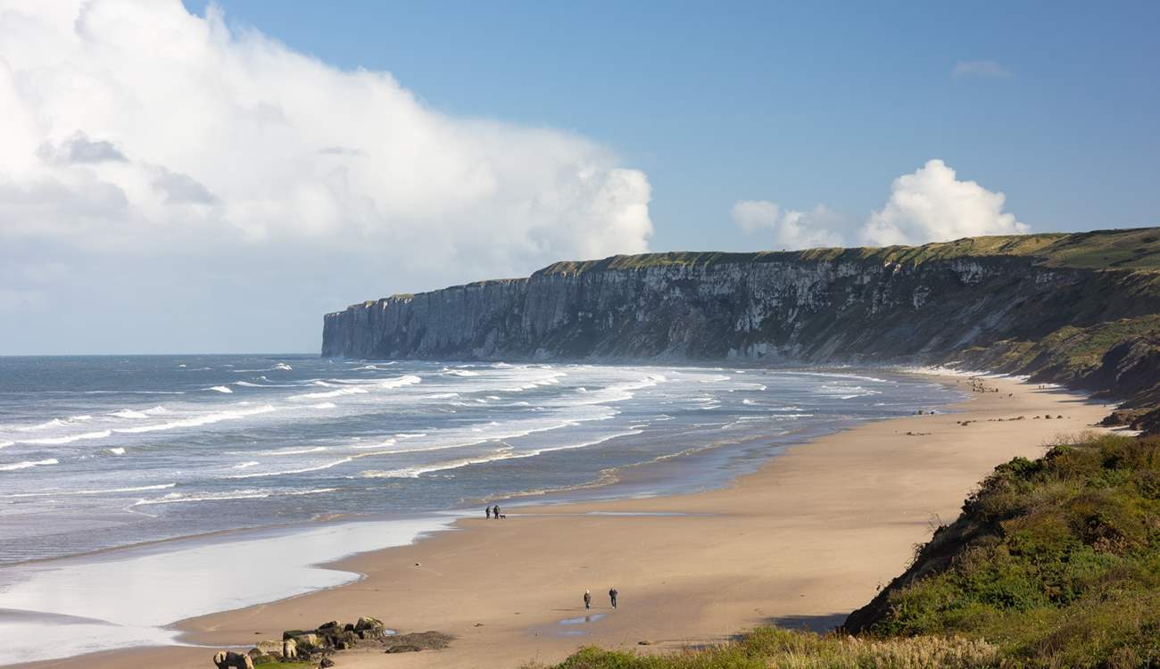 The cliffs toward Bempton where there is a RSPB site. Watch out for Puffins.