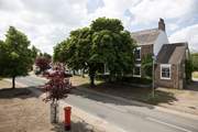 Trees line the pretty street.