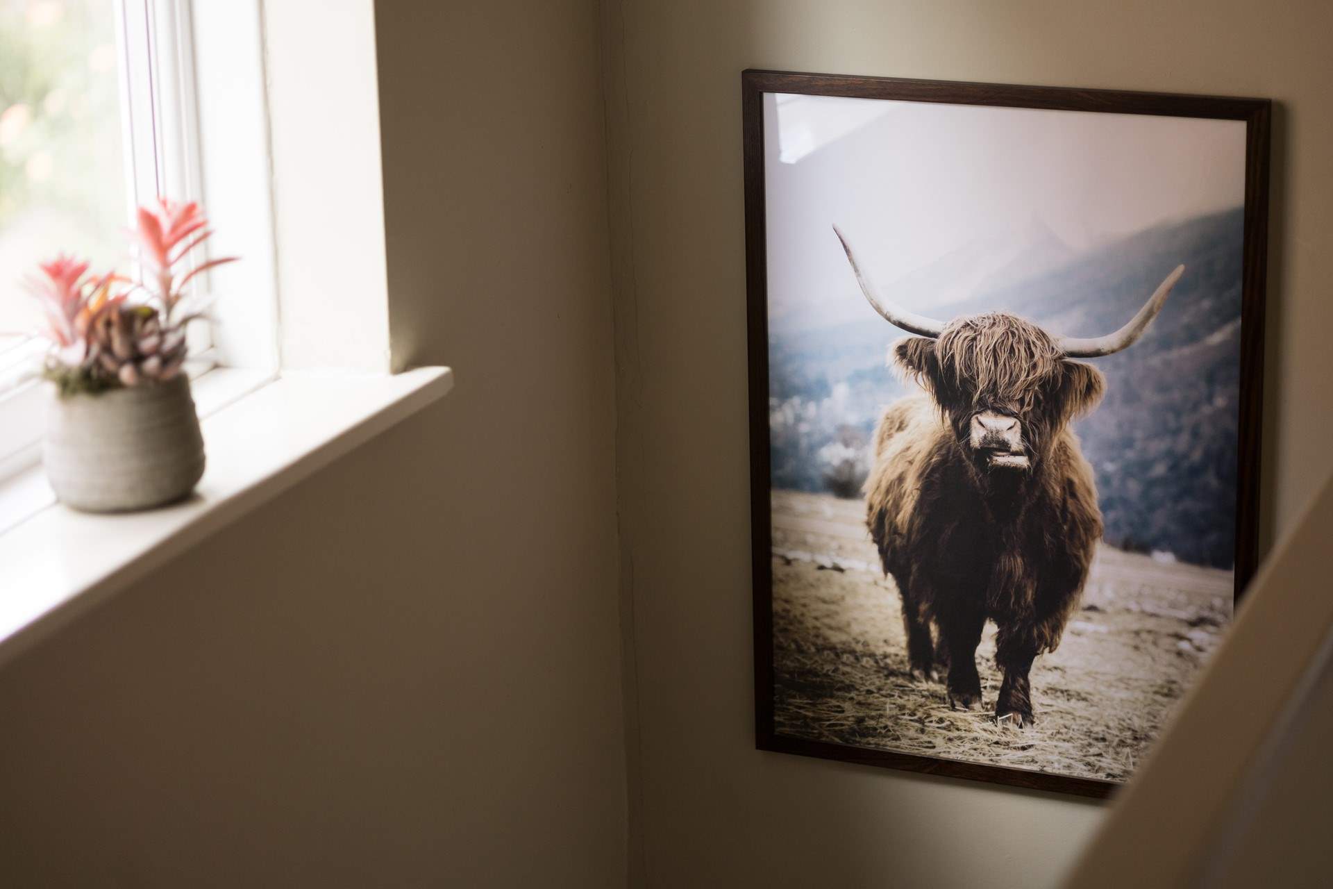 What a handsome chappie.