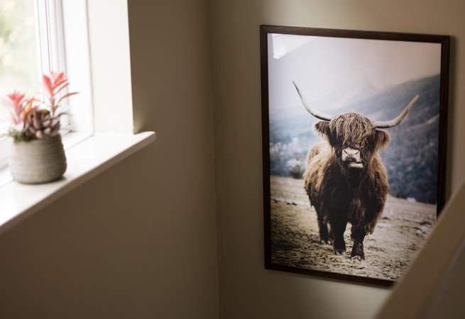 What a handsome chappie.