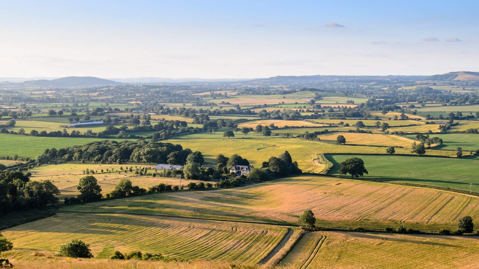 Dorset countryside is truly wonderful.