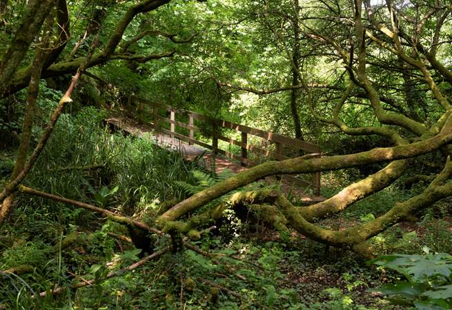 Stunning ethereal footpaths to explore on site.