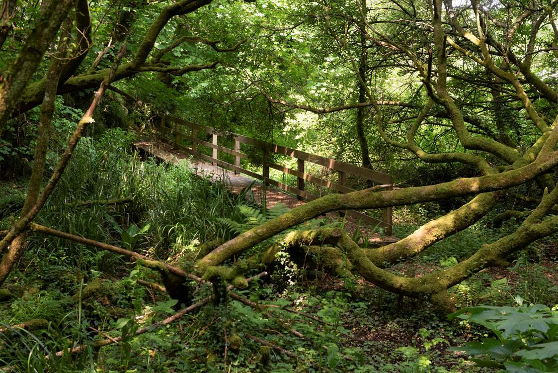 Stunning ethereal footpaths to explore on site.