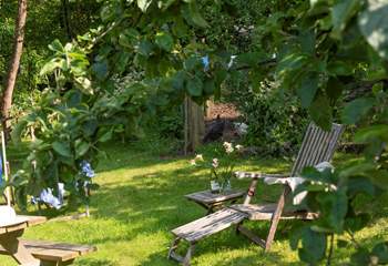 Visit the resident chickens!