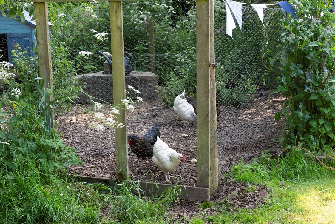 They are a social bunch.