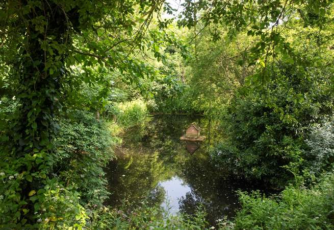 The ponds are home to geese and ducks.