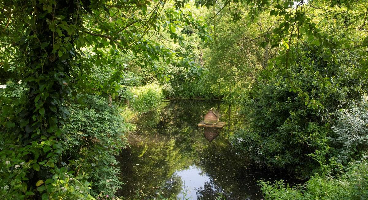 The ponds are home to geese and ducks.