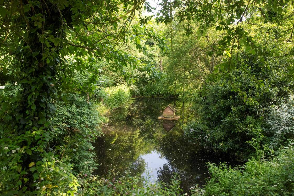 The ponds are home to geese and ducks.
