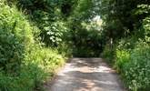 The pretty private drive to access the accommodation, which is completely separate to the cafe entrance. - Thumbnail Image