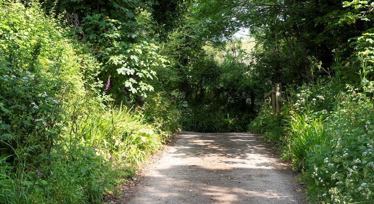 The pretty private drive to access the accommodation, which is completely separate to the cafe entrance.