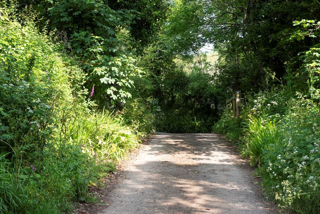 The pretty private drive to access the accommodation, which is completely separate to the cafe entrance.