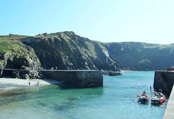 Visit Mullion Cove to see the island that is a bird sanctuary, just off shore.