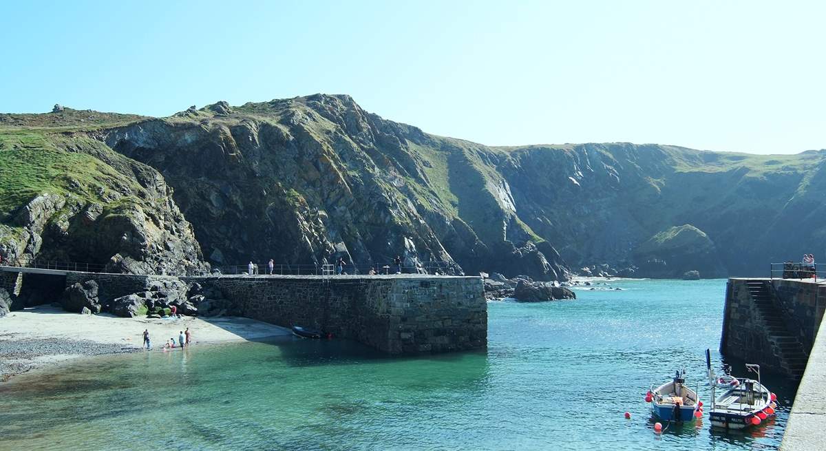 Visit Mullion Cove to see the island that is a bird sanctuary, just off shore.