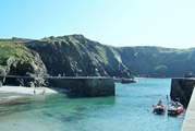 Visit Mullion Cove to see the island that is a bird sanctuary, just off shore.