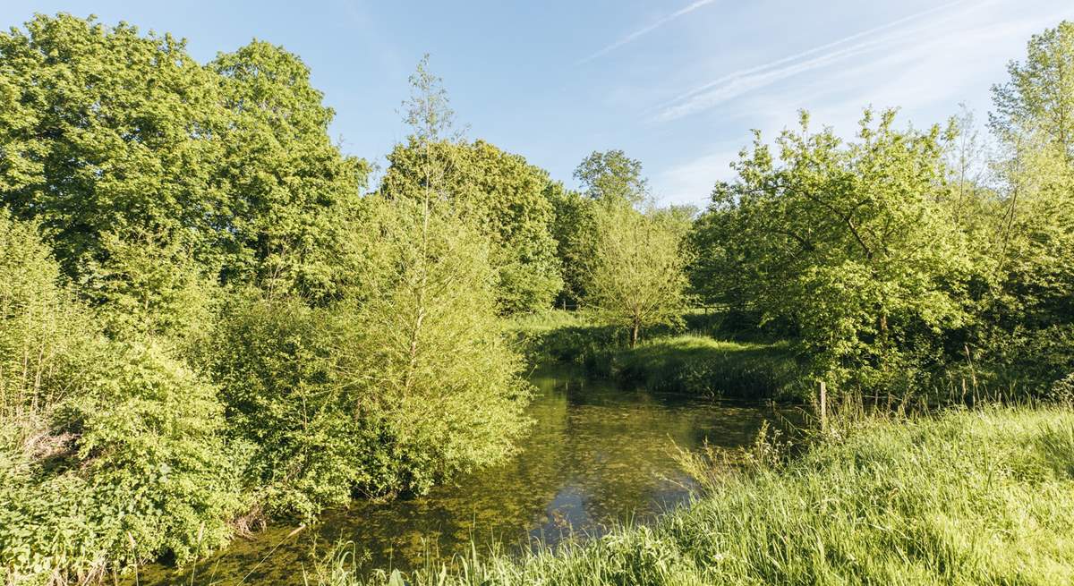 One of two tranquil ponds, the perfect place to while away the lazy summer evenings.