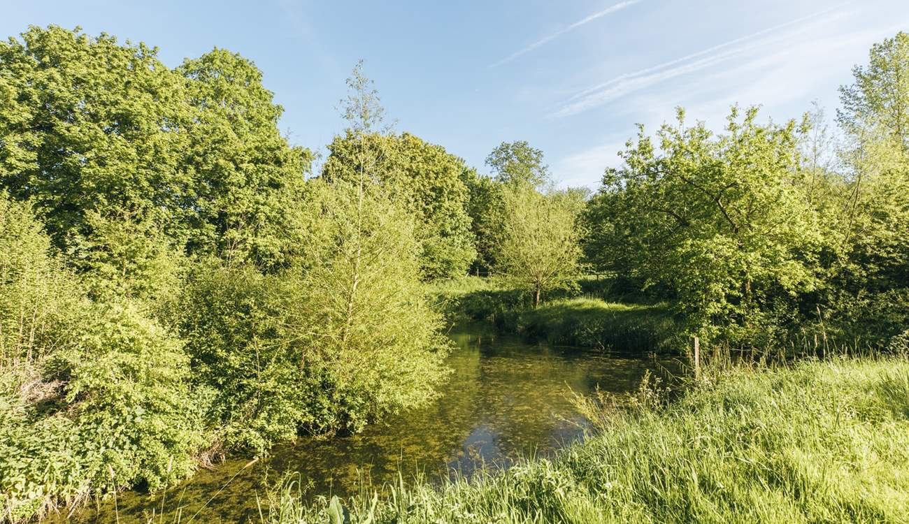 One of two tranquil ponds, the perfect place to while away the lazy summer evenings.