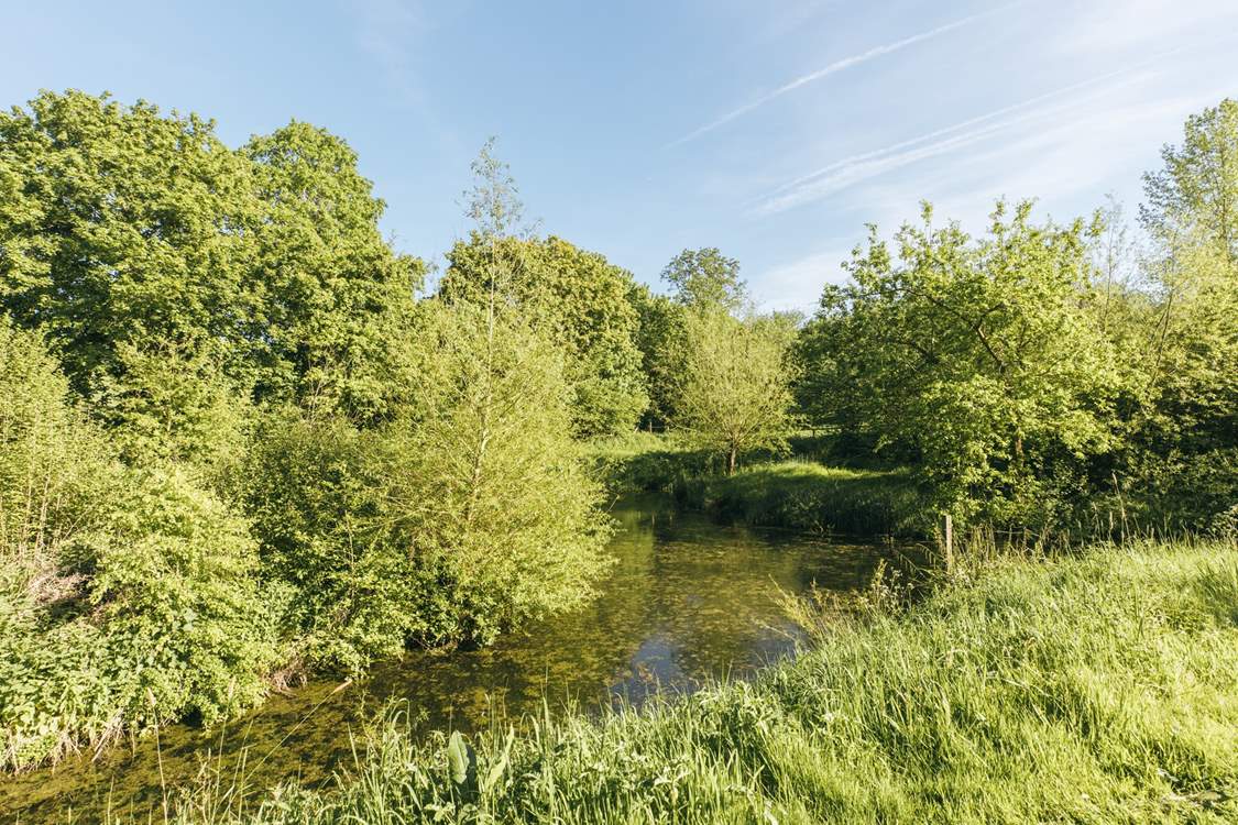 One of two tranquil ponds, the perfect place to while away the lazy summer evenings.