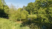 The tranquil ponds are there for guests to enjoy.