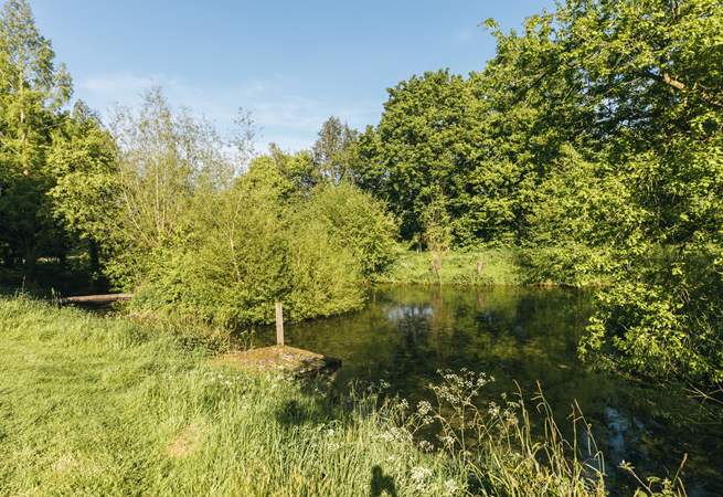 The tranquil ponds are there for guests to enjoy.