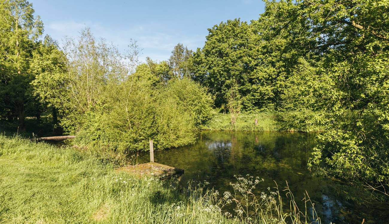 The tranquil ponds are there for guests to enjoy.