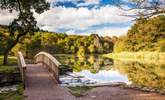 The beautiful Cannop Ponds in the Forest of Dean. - Thumbnail Image