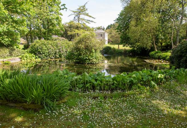 The gardens are a nature lover's dream.