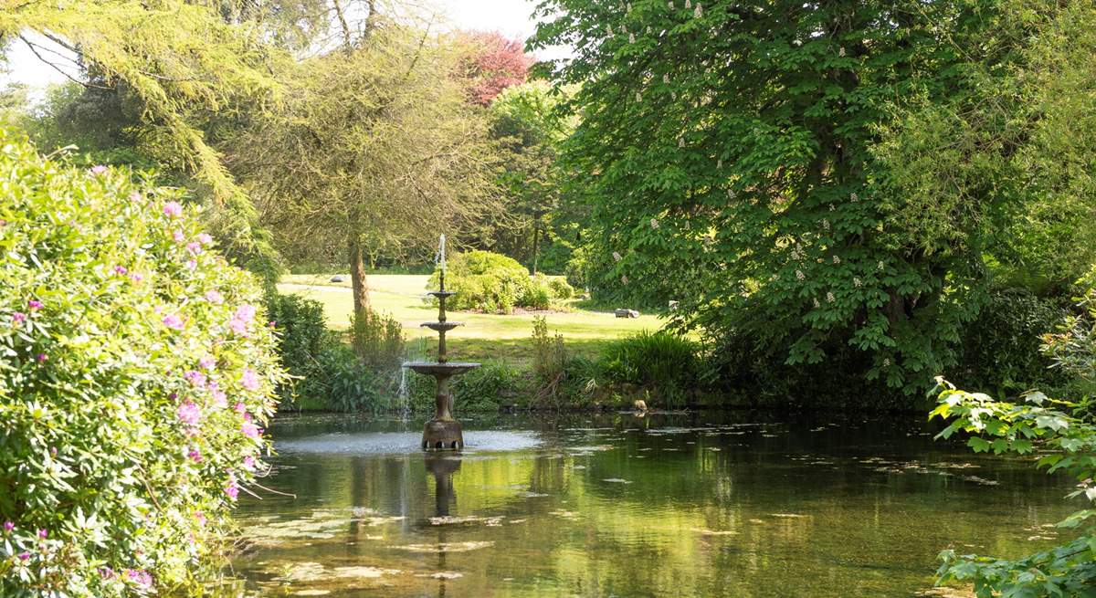 There are lots of hidden areas to explore. Please take care with young children and pets around the pond.