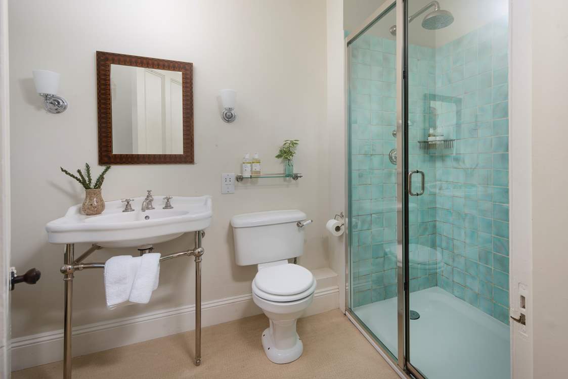 There is also a separate shower cubicle.