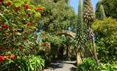 The Botanical Gardens at Ventnor should be on your list of places to visit. - Thumbnail Image