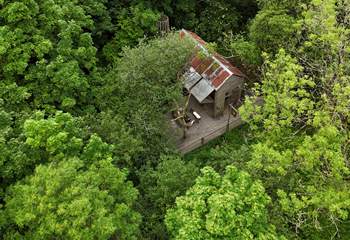Nestled in the forest, this perfectly rustic retreat offers a soulful escape. 
