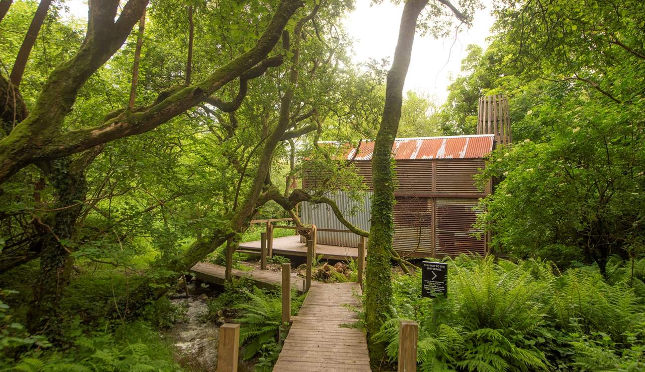 Meander through woodland to find your hidden haven. 