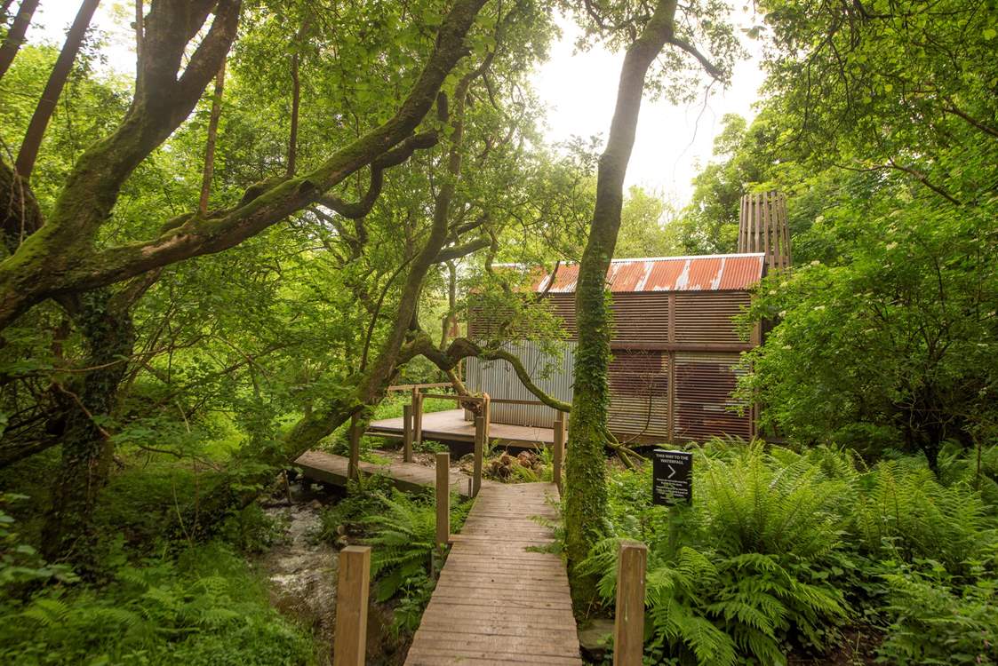 Meander through woodland to find your hidden haven.