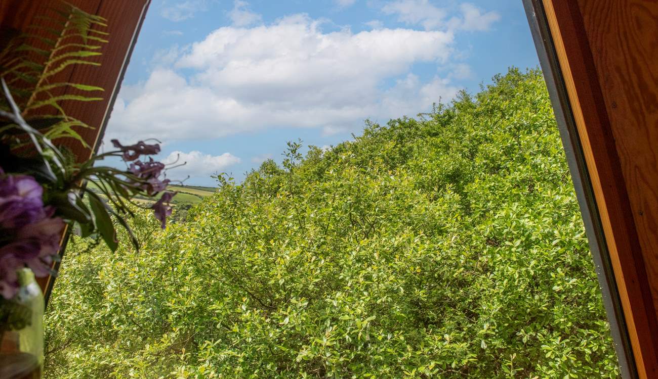 Tucked away in the treetops with glimpses of the sea in the distance. 