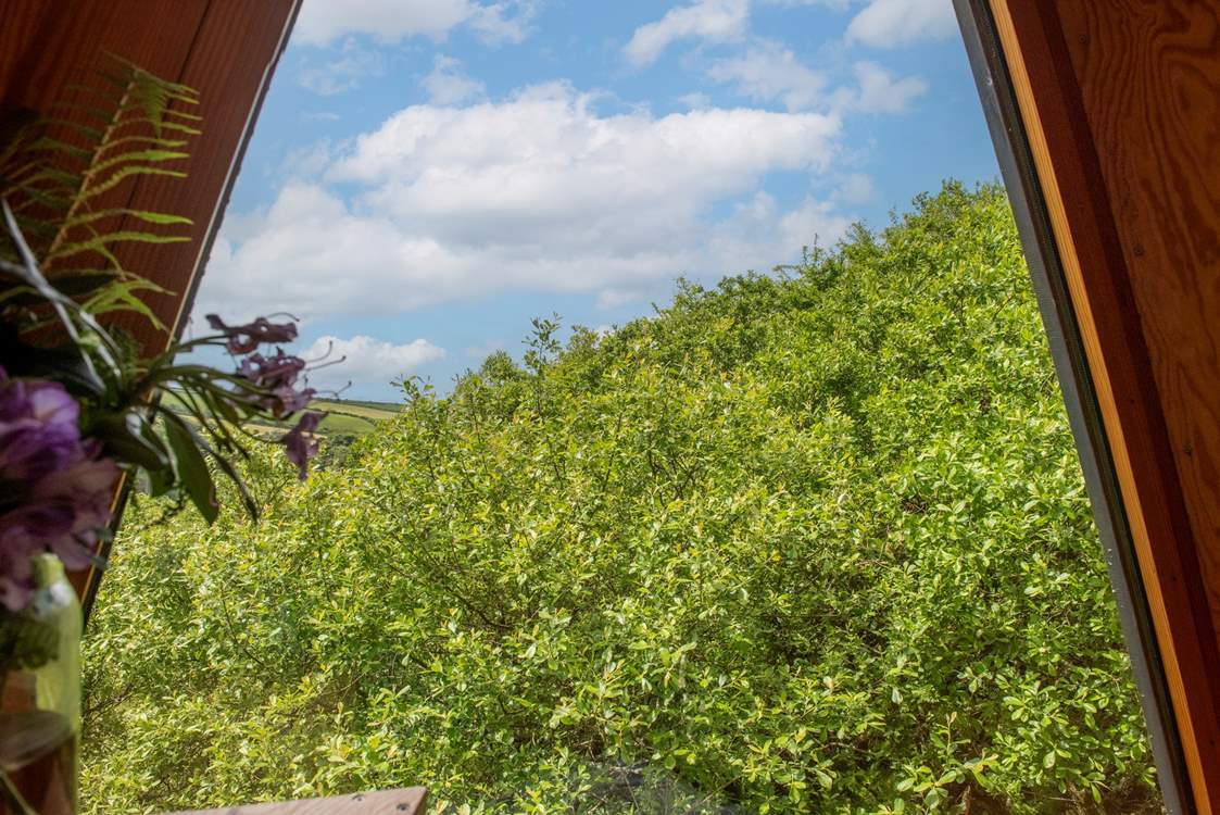 Tucked away in the treetops with glimpses of the sea in the distance.