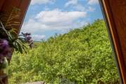 Tucked away in the treetops with glimpses of the sea in the distance.