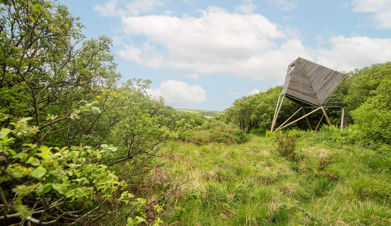 Keynor is surrounded by nature in its purest form. 