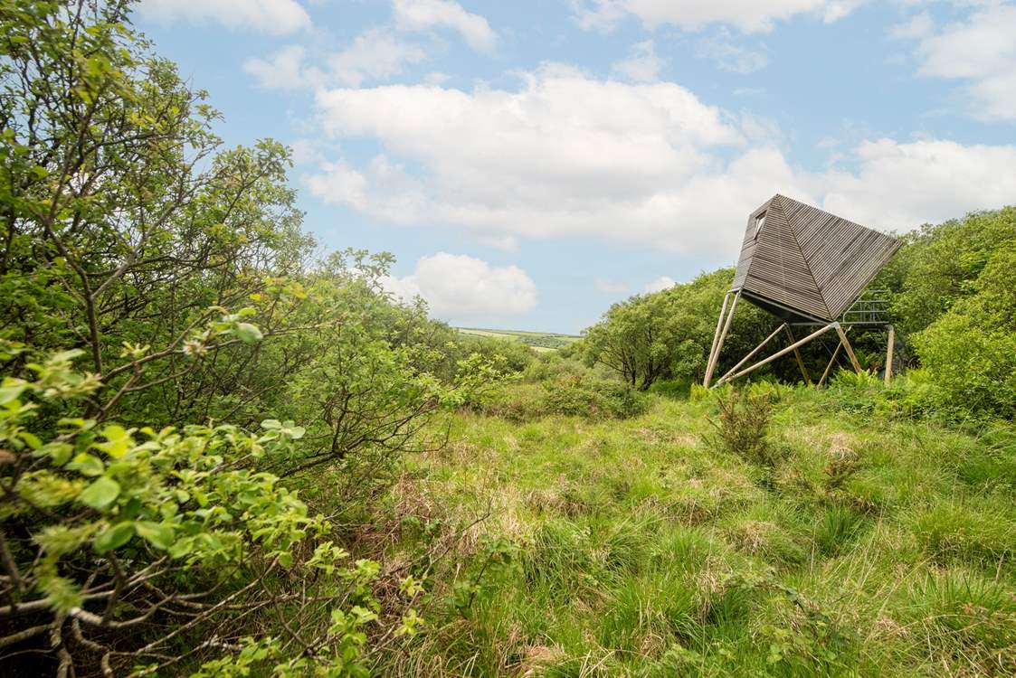 Keynor is surrounded by nature in its purest form.