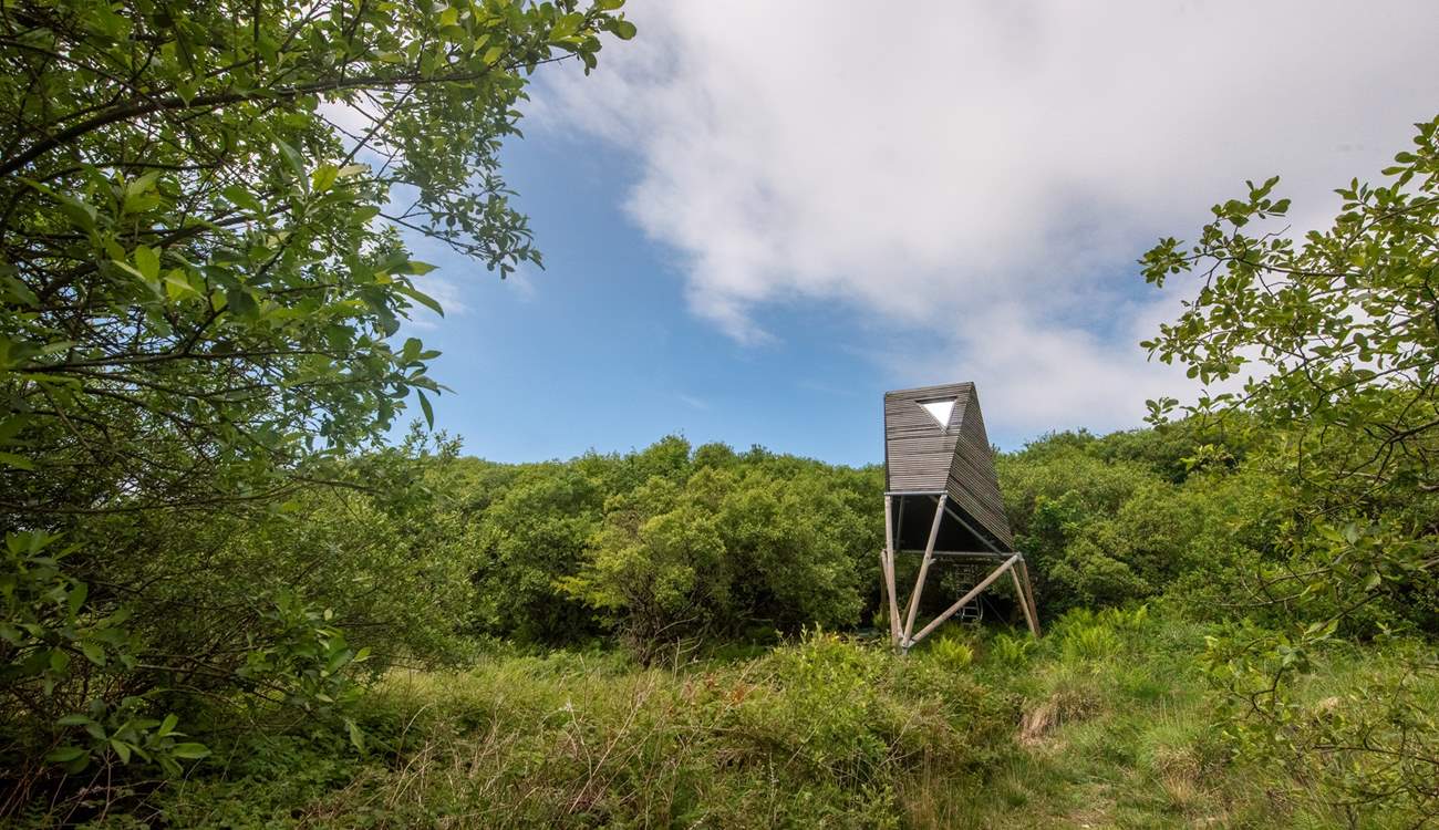 Welcome to Keynor, our treetop escape just a stone's throw from the Cornish coast. 