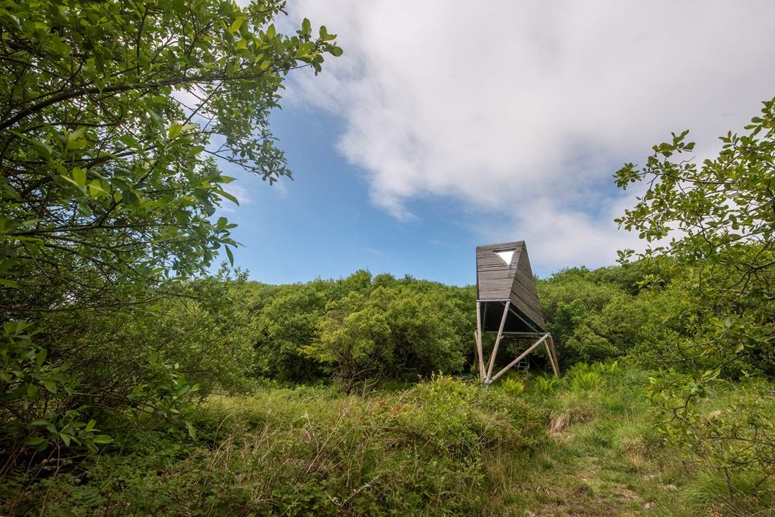 Welcome to Keynor, our treetop escape just a stone's throw from the Cornish coast.