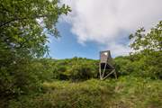 Welcome to Keynor, our treetop escape just a stone's throw from the Cornish coast.