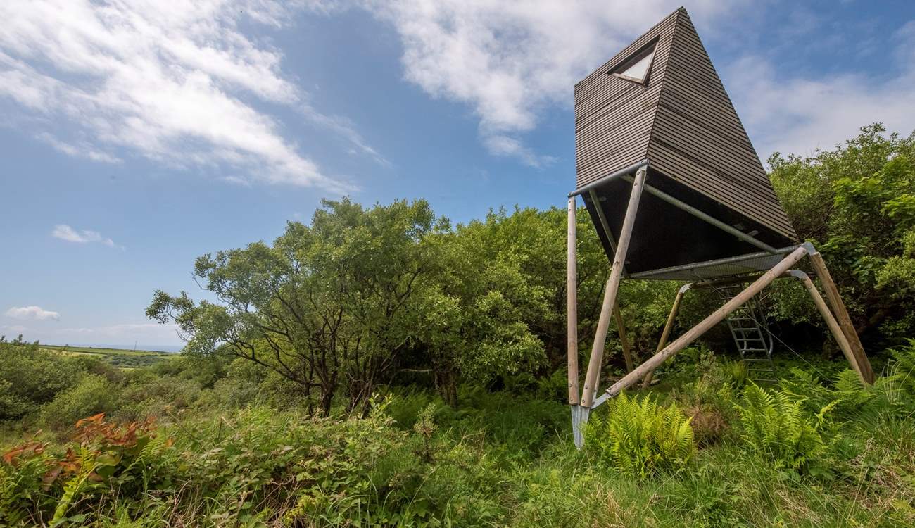 Welcome to Keynor, our treetop escape just a stone's throw from the Cornish coast. 