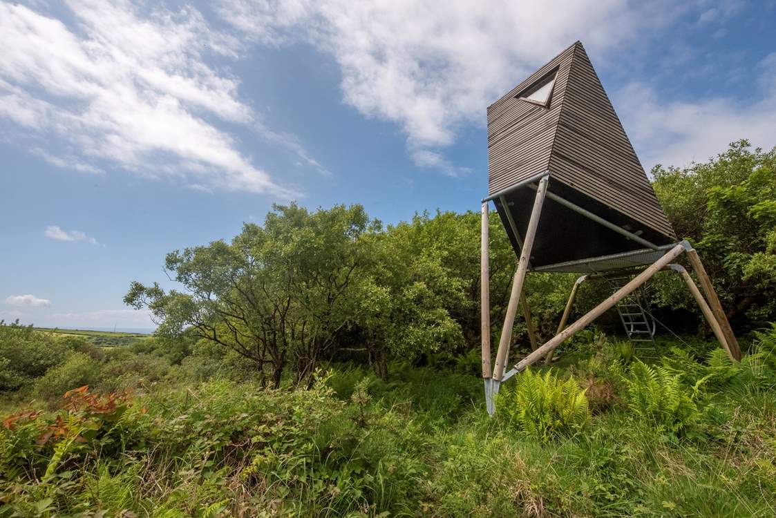 Welcome to Keynor, our treetop escape just a stone's throw from the Cornish coast.
