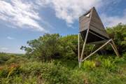 Welcome to Keynor, our treetop escape just a stone's throw from the Cornish coast.